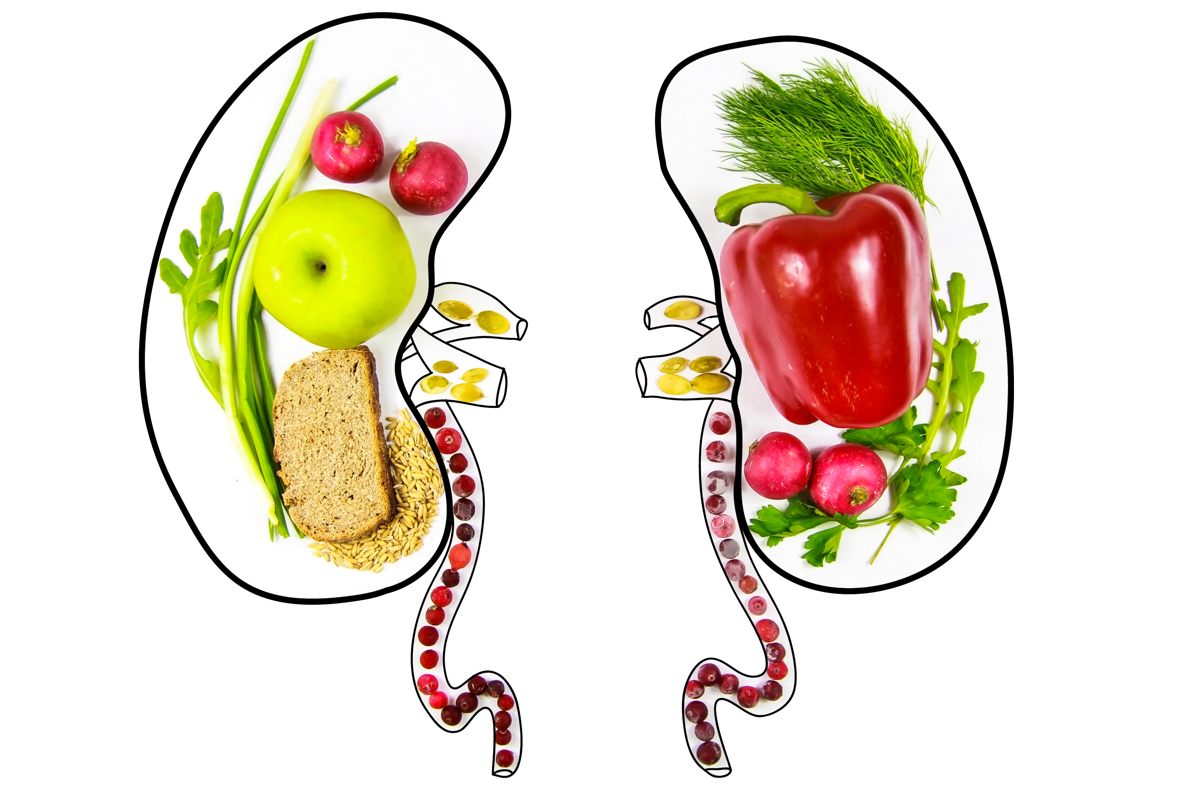 Salute dei reni: che dieta seguire per prevenire disturbi