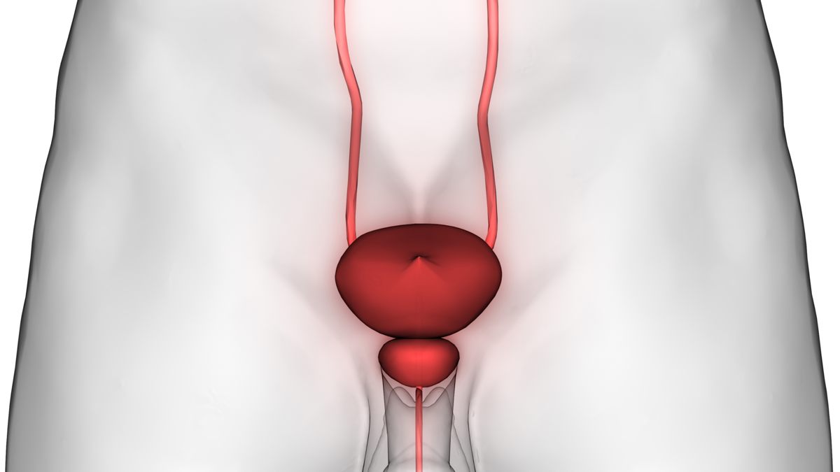 Tumore alla prostata: prevenzione e fattori di rischio