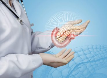 Pancreas esocrino ed endocrino: le funzioni