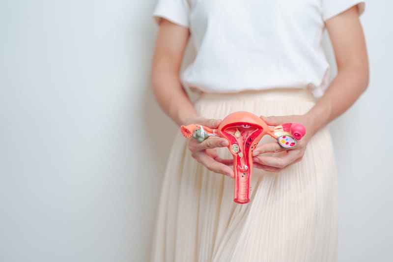 Utero fibromatoso: sai di cosa si tratta?