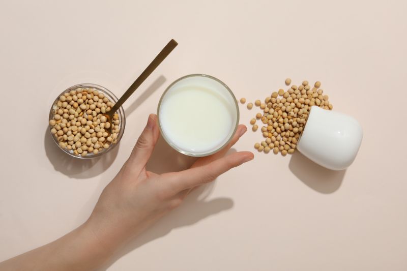 Guida alle bevande vegetali: proprietà e come scegliere quella giusta