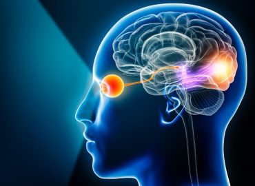 Neuroftalmologia: quando il problema visivo nasce dal cervello