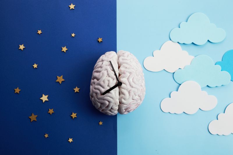 Ritmo circadiano e ormoni: come l’orologio biologico guida il sistema endocrino